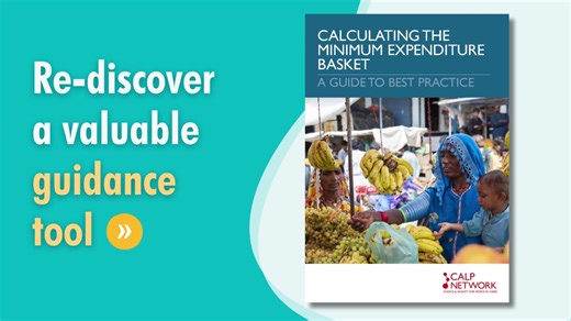 Calculating the Minimum Expenditure Basket: A guide to best practice...