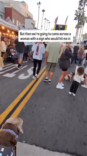 22K views · 886 reactions | How exactly do you know if a guide dog is...