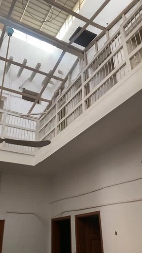 Ceiling Fan Design Ideas for Modern Indoor Spaces