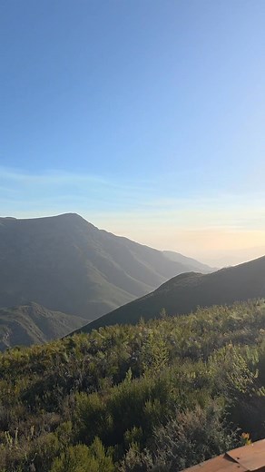 Gretha Wiid on Reels