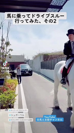 馬に乗ってドライブスルー体験