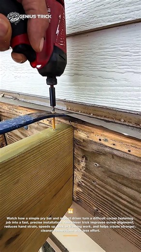 This Screw Trick Works #DIYHack #Woodworking #ToolTips