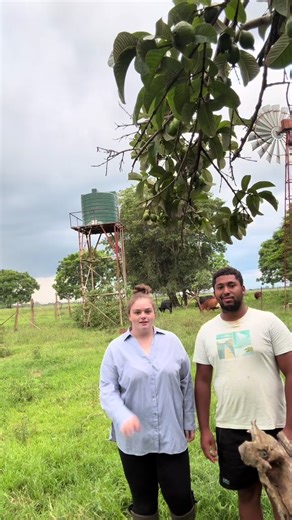 Life on a Cattle Farm in Zambia