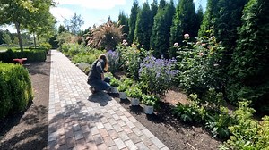 49K views · 5.2K reactions | Finishing the Tree Planting, Perennial Planting & Pathway/Patio Update! 殺 Pink Potion' Veronica - https://bit.ly/3z6SN9c Purple Illusion Veronica - https://bit.ly/2YVeh4p Extra Blue Limber Pine - https://bit.ly/3ERzaUs Bio-tone Starter Plus - https://bit.ly/34ezpXJ Organic land and sea - https://bit.ly/2z7nAGg Fiskars Adjustable Shovel - https://amzn.to/2R3A205 | Garden Answer | Facebook