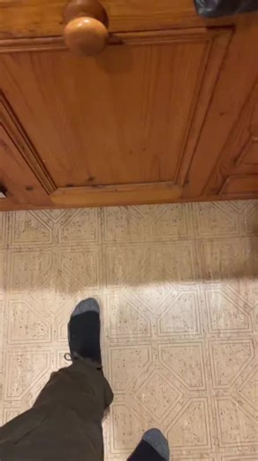 I can stay on my meal plan with this electric lunchbox！It makes dinner on the go easy!