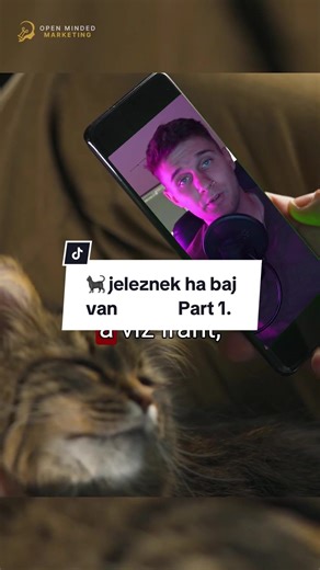 Macskák viselkedési jelek az utolsó pillanatokban