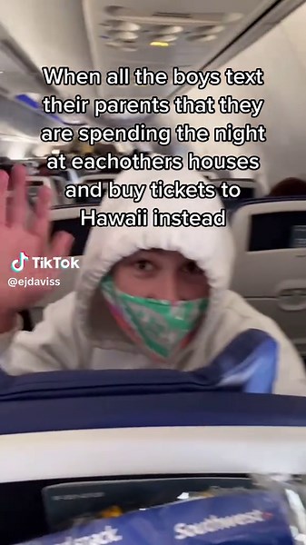 Traveling by Air: What to Expect Inside the Airplane