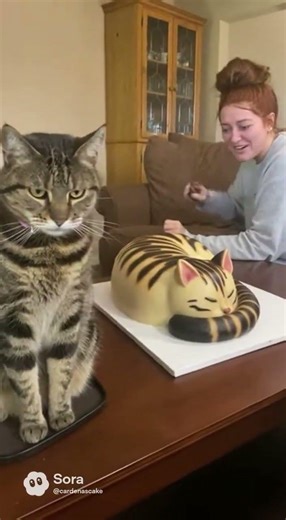 Tigger protects cat cake