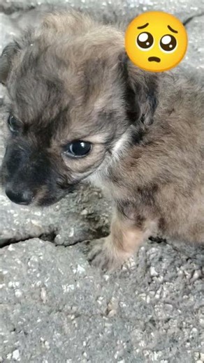 TE EXTRAÑO MUCHO MALBADISCO