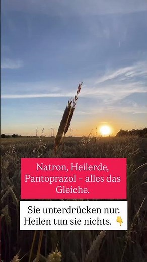Natron, Heilerde, Pantoprazol - alles Gleiche
