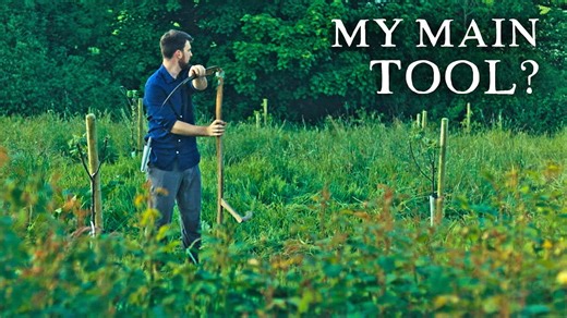 Scything, Permaculture, & Grass-based Food Systems