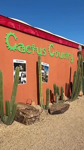 95 reactions · 13 shares | Ever wandered through a real-life cactus...