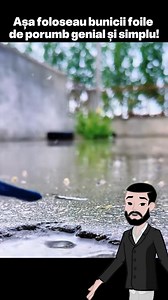 Asa foloseau bunicii foile de porumb Genial și simplu! | Lucruri Interesante