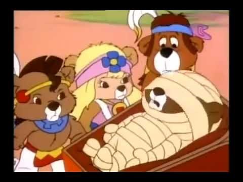 Paw Paw Bears 13