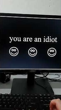You Are An Idiot! (Original) Year 2002
