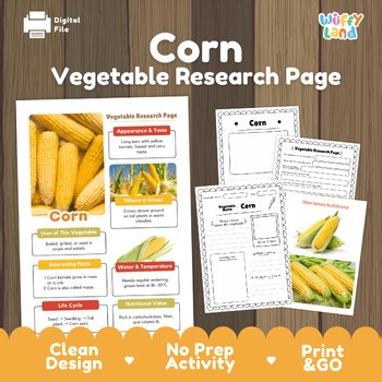 Corn Vegetable Research Project | Maize Plant Science Activity | Healthy Eating