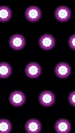 neon flower overlay background (Free background)