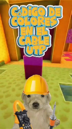 Codigo de colores del cable de red UTP T568A y T568B 🥸☝️ que son esos colores del cable utp y para que sirven? 🙂‍↔️🙂‍↔️ #electricidad #electronics #cablered #cableutp #utp #t568b