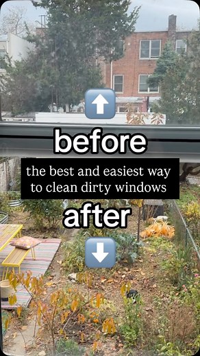 13K views · 29 reactions | and it’s free! Water + Newspaper/Mailers for a streak free clean windows. *you can also use vinegar #cleaninghack #cleaninghacks #cleaningmadeeasy #diycleaning #diycleaningproducts #windowcleaner #windowcleaningtips | TfDiaries by Megan Zietz | Facebook
