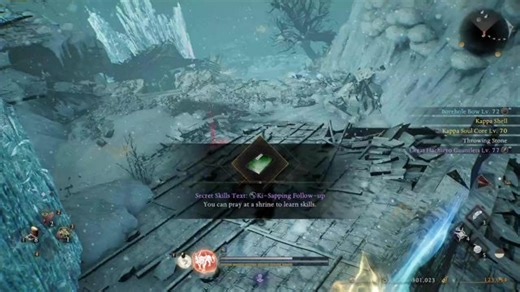 Dual Swords Ninja Beginner