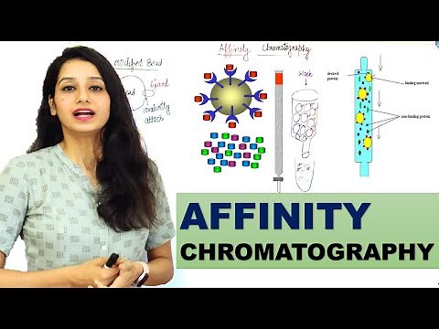 Affinity chromatography I Basic and Detailed Explanation I Techniques