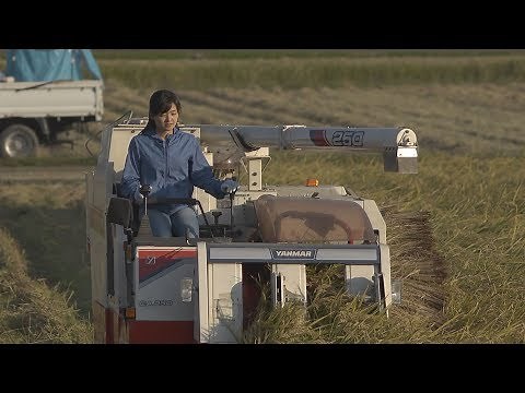 映画『ごはん』予告編