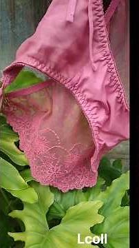 Pink Transparent Panty from Lingerie Coll