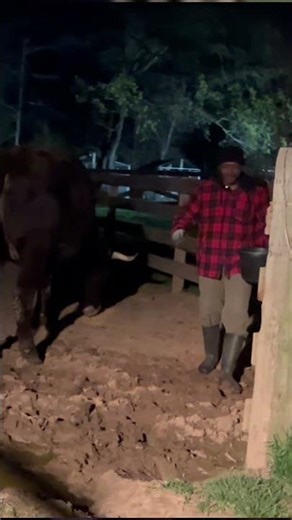 They Do Whatever They Want… Even When You’re Trying to Work | Farm Life Diaries