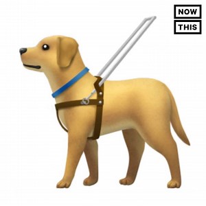 139K views · 717 reactions | These new emoji are representing people with disabilities | NowThis Earth | Facebook