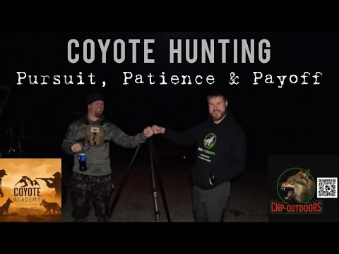 Coyote Hunting: Pursuit, Patience & Payoff w/ @CoyoteAcademy