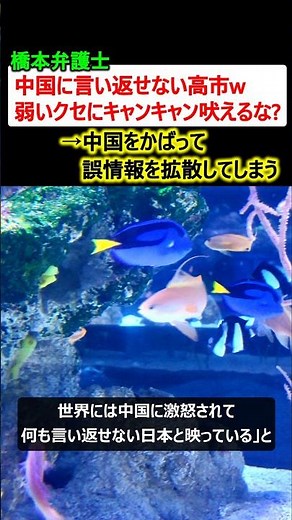 橋下徹「中国に言い返せない高市w 弱いクセに吠えるな?」→中国をかばって誤情報を拡散