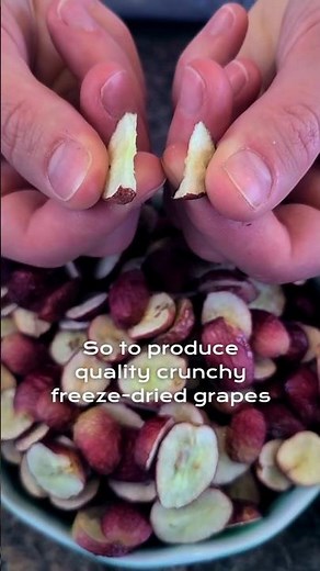 Make perfect Freeze Dried Grapes!