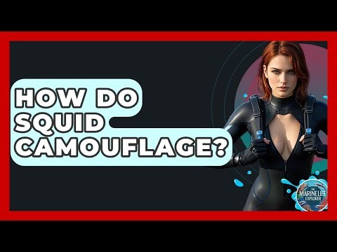 How Do Squid Camouflage? - The Marine Life Explorer
