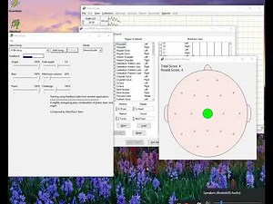 Using MindTrack with NeuroGuide