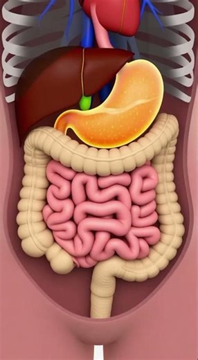 3D medical animation!