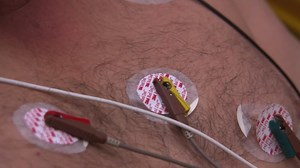 26K views · 48 reactions | Our pick of the top 10 smallest sea creatures in our oceans! | Scuba Diver Life | Facebook