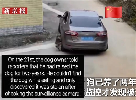 25K views · 989 reactions | Shaoguan, Guangdong, China. October 20th,...