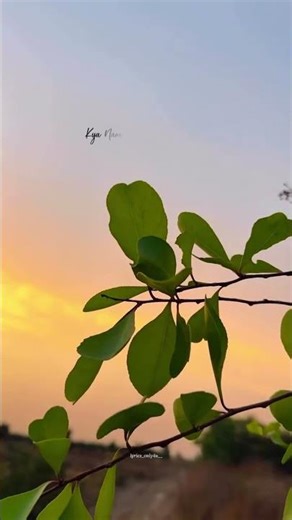 100/5 Songs Challenge 🎧🔥 | Ultimate Music Lover Test