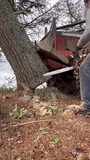 #Splice #timberjack240 #562xp #hoffmanboots #loggerlife #loggertok