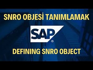 SAP ABAP - SNRO - SE38 - Defining and Using Number Ranges