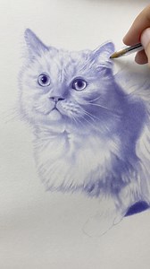 “Beylee” 🐈, Ballpoint Pen Drawing 🖊️, Commission Work. #art #drawing #sketch #artist #pen #draw #cats | Mostafa Khodeir Art