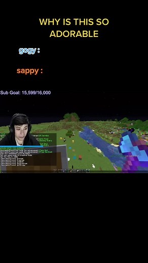 Exploring the Dynamic Relationship of Dream, George, and Sapnap in Minecraft SMP