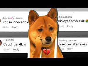 From Couch to Cell 💔 - Chat Music