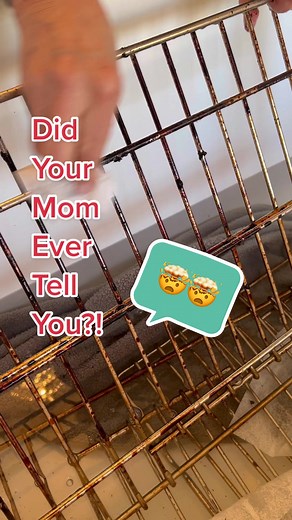 Best Ways to Clean Oven Racks Easily