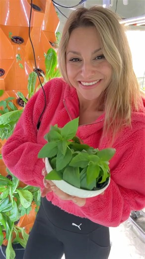 Homemade Phở 🍲 #Aeroponics #Hydroponics #IndoorGardening #GrowYourOwn #TheFreshPrincess #Shorts