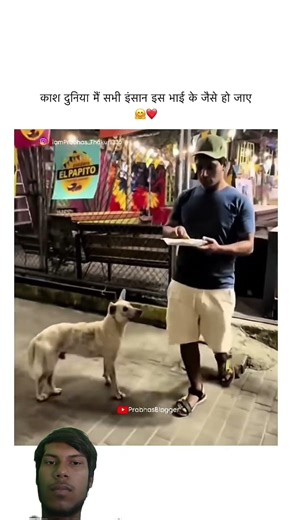 please help the animals #animals #animallife #video #shorts #reels #dog #respect