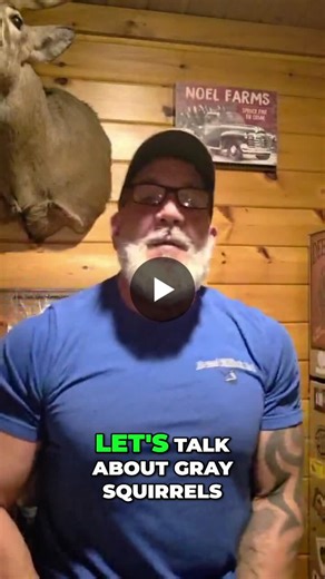 Gray squirrel breeding season is here — and if you’re hearing scratching, chasing, or running sounds, it’s only going to get worse. This time of year, squirrels are actively breaking into homes… | Advanced Wildlife Control, Inc