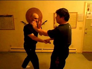 Hung Gar Traditional Skills 1 - Tiger Claw Hands
