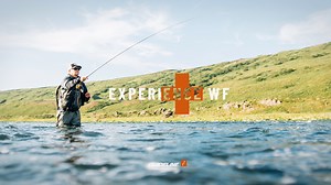 1.3K views · 66 reactions | Experience+ is designed to be a line for...