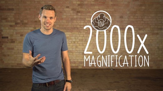 Cell structure - Cell Biology: Video playlist - BBC Bitesize